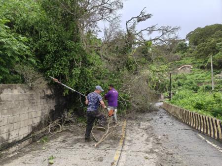 西莒23日午後持續大雨，造成25哨往西坵路段路樹倒塌， 鄉公所24日上午與莒光守備大隊聯手搶修，於當日上午恢復通行。（圖／文：宋幸儒）