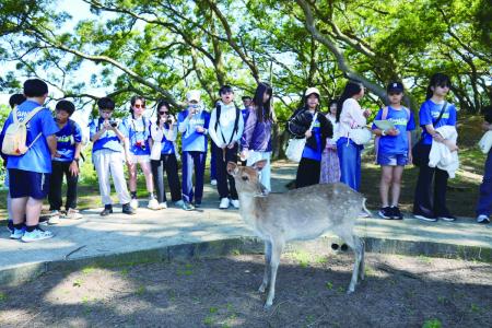 塘岐國小春季郊遊大坵尋「鹿」趣　產發處導覽生態保育