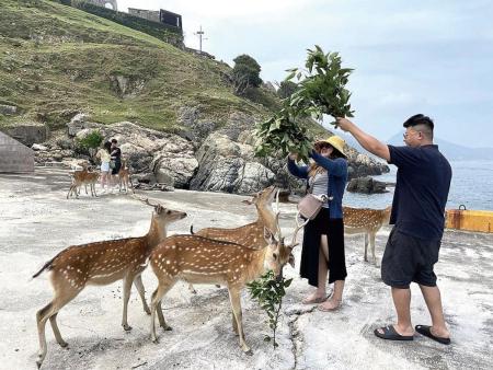 「審慎面對、超前預防」　產發處啟動大坵防護升級