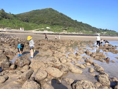 坤坵沙灘大退潮變身孩子樂園　親子潮間帶尋寶驚呼連連