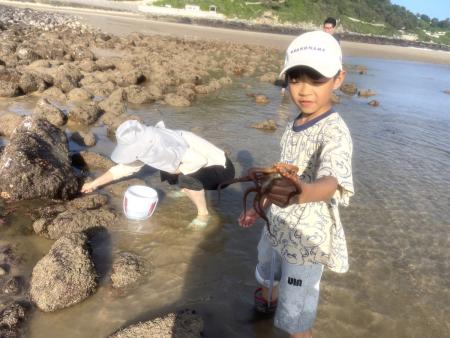 西莒坤坵沙灘，擁有豐富潮間帶生態與天然沙灘景觀，適逢大退潮，吸引不少親子前往遊玩，玩得不亦樂乎。（圖／文：宋幸儒）
