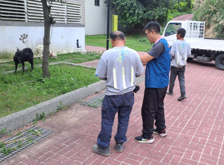5隻遊蕩羊拍賣　曹姓民眾1萬7500元得標