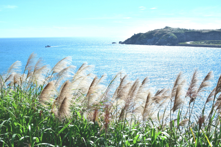 夏至報到　盛夏時節正式展開