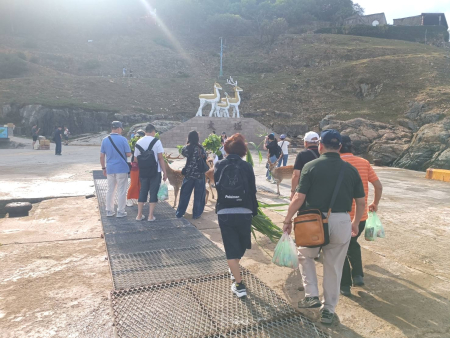 端午連假大坵島人氣旺　三天吸引逾千人登島