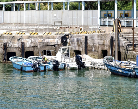 因應巴威颱風可能帶來風浪，北竿白沙碼頭8日下午展開漁船防颱作業，漁民陸續將漁船吊放上岸，並整理港區船隻、加強繫纜及檢查設備，提前完成各項防颱準備。（圖／文：鄭禮頤）