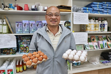 連江縣農會販售紅、白兩種雞蛋；連江縣社區營養推廣中心營養師林思妤指出，雞蛋的營養價值不會因蛋殼顏色不同而有顯著差異。（圖／文：王致潔）