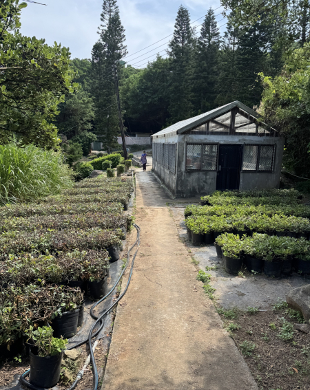縣府釋出東引苗圃，規劃以公開招租引進民間團隊延續在地綠美化。（圖：縣府）