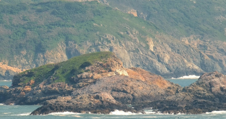 保育類猛禽遊隼定居白廟，北竿海域僅零星燕鷗活動，失去傳統繁殖地功能。（圖：縣府）
