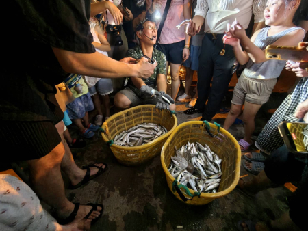北竿牽罟嘉年華吸引許多鄉親及遊客熱情參與，大家齊心協力拉網、欣賞豐富漁獲，並品嘗現炸海味，感受馬祖傳統漁村文化的獨特魅力。（圖／文：鄭禮頤）