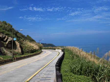 北竿各主要道路沿線芒花迎風綻放，淡金色花穗點綴山坡與海岸，襯著藍天、綠意及海景，展現夏日獨有的島嶼風情。（圖／文：鄭禮頤）