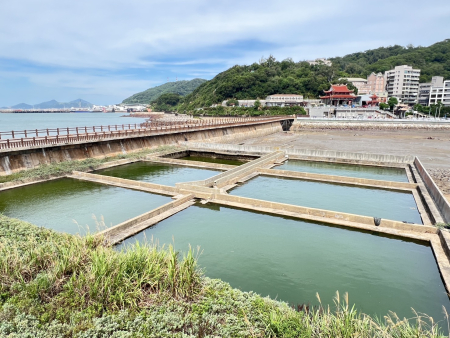 清水濕地「六口魚池」啟動活化改造　變身解說平台