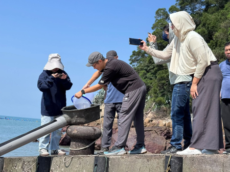 芙蓉澳海域放流2千尾條石鯛魚苗，為馬祖海域永續發展注入新生命。（圖：產發處）