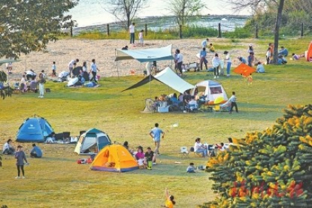 ▲市民在沙灘公園大草坪上露營。