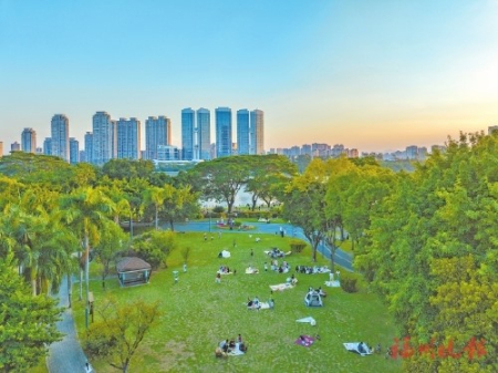 ▲市民在閩江公園北園大草坪露營。