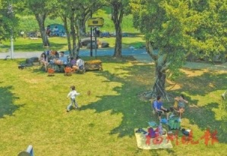 ▲鬥頂公園大樹下，市民享受露營樂趣。