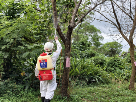 守護春季花開美景　北竿展開桃、櫻花樹白蟻防治