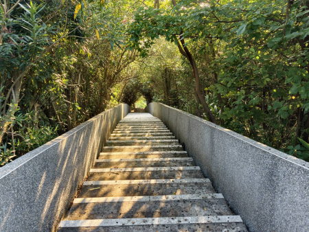 尼姑山「龍貓隧道」　北竿低調迷人秘境！