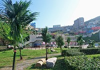 　連江縣政府產業發展處在東引中柱港區栽植棕櫚樹、迷迭香等植物，營造綠美化景觀。（圖／文：陳其敏）
