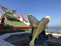 　黃唇魚價如黃金，一條魚可換一棟台北房子，橋仔漁村廣場黃唇魚放大模型讓觀光客對其價格直呼不可思議。（圖／文：陳鵬雄）