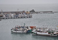 　強風特報。（圖／文：陳其敏）