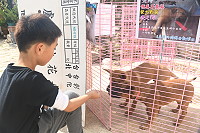 　全村一起來熱鬧！（圖與文：張登傑、陳樂團）