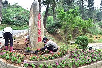 　換季。（圖與文：陳其敏）