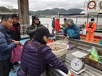 　到不了市場。（圖／文：陳鵬雄）