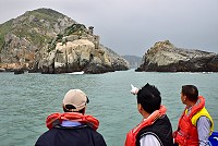 東引海岸地景，鬼斧神工，早年更是集十二生肖之大成。其中，最廣為人知的老鼠沙（礁），不但從陸上望去形似老鼠，換個角度搭船近距離觀看，依然不會失真，且更能感受到大自然的神奇與魔力。這隻面朝台灣本島的石老鼠，相傳還與板橋林本源家族的興起息息相關。（圖與文：陳其敏）