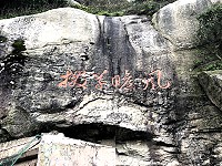 撥草瞻風　圖與文：陳鵬雄