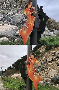 白沙至中澳口一座梅花鹿意象造型路燈遭人蓄意噴漆。(圖/文:陳鵬雄)
