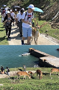 大坵生態賞鹿之旅107年吸引2萬9191人次登島,創歷年新高紀錄。(圖/文:陳鵬雄)