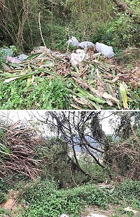 　網友於馬上處理反映位於南竿機場跑道南面下方路口邊坡，已遭不肖之徒多次傾倒事業廢棄物與家庭生活垃圾；經環境資源局派員前往陳情地點現勘及蒐證，將依違反廢棄物清理法相關規定予以告發處分。（圖：馬上處理）