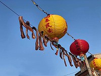 魚乾隨著海風吹拂擺動與春節燈籠相互輝映,這樣的冬日景象意味著年味越來越濃。(圖/文:蔡夢玲)