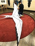 首次發表之黑嘴端鳳頭燕鷗風箏