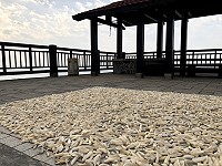 　山珍海味。（圖與文：陳鵬雄）