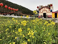 　春的氣息。（圖與文：陳鵬雄）