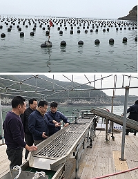 劉增應與張永江2日搭船前往北竿地區養殖規模最大的高登西海域養殖區,了解淡菜養殖現況。(圖/文:陳鵬雄)