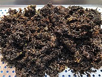 　馬祖野生紫菜上市，今年產量特別稀少，一斤半乾濕的手拔紫菜要價新台幣1200元，創下歷史新高。（圖／文：陳鵬雄）