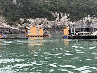 　馬祖第一個海上人家出現在高登西海域養殖區，為了就近看顧養殖海域，工作人員必須住在海上平台小屋，這間小屋由太陽能板供電，日常生活用品食物定期運補。（圖／文：陳鵬雄）