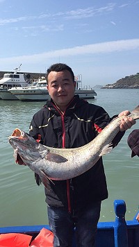 　久違大鮸魚。（圖與文：宋幸儒）