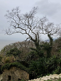 　烏&#26709;之村。（圖／文：陳鵬雄）