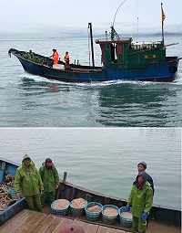 連日霧漫馬祖,大陸漁船利用能見度不佳時刻又出沒於馬祖海域,馬祖海巡隊「護永專案」查獲本月第二起越界案件,逮獲無名陸籍漁船1艘4人。(圖:馬祖海巡隊)