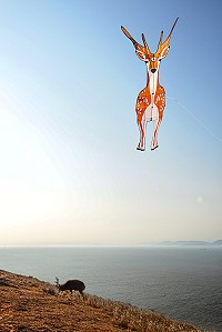　天上人間。（圖／黃景楨、文／陳鵬雄）