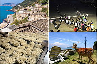 北竿獲選為漫遊小鎮,觀光局網站大推必遊景點及生態體驗行程。(圖:摘自觀光局網站)