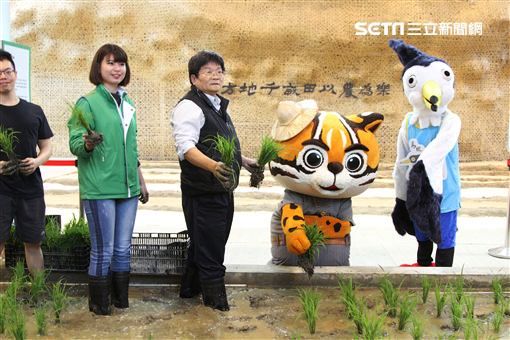 馬祖吉祥物燕鷗在虎爸的熱情招待下造訪外埔園區,與農友一起體驗插秧。(圖/台中市政府提供)