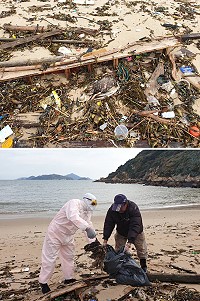 第10岸巡隊昨日上午在復興澳口發現死亡鴨子屍體,通報後進行銷毀與環境消毒。(圖:馬祖第10岸巡隊)