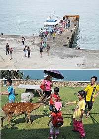 大坵生態之旅3月29日起至10月31日開航,歡迎遊客預約前往觀景賞鹿,體驗慢活旅程。(圖:本報資料室)