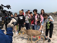 全村一起來熱鬧!(圖與文:張登傑、陳樂團)