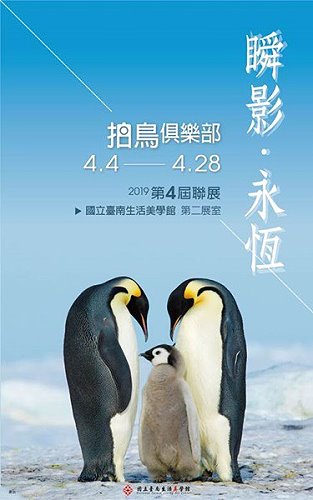 瞬影•永恆~拍鳥俱樂部第4屆聯展暨東引拍鳥達人林利中作品展出。(圖:國立台南生活美學館、馬祖日報)