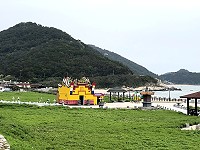 　萬綠叢中一點黃。（圖／文：陳鵬雄）